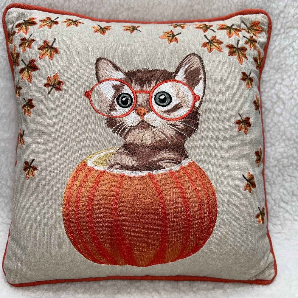 PIER 1 Harvest throw pillow kitty in pumpkin thankgiving halloween orange 12"
